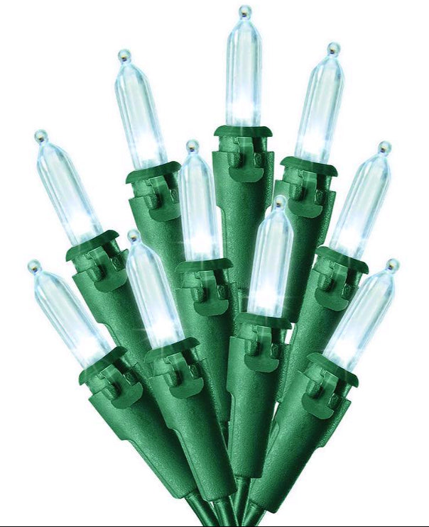 Celebrations LED Mini Christmas Lights - 24.5' (100 Lights)