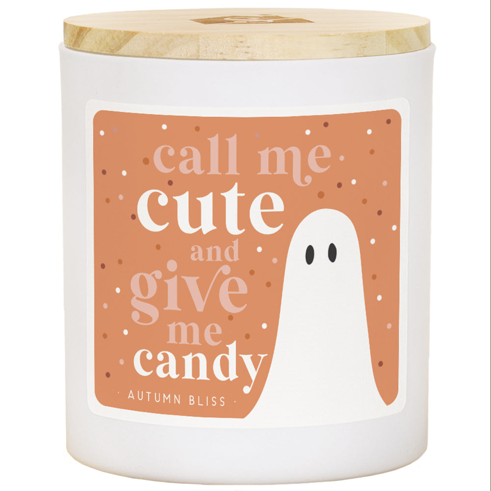 Sincere Surroundings Fall Sentiments Soy Wax Candles - 11 oz.