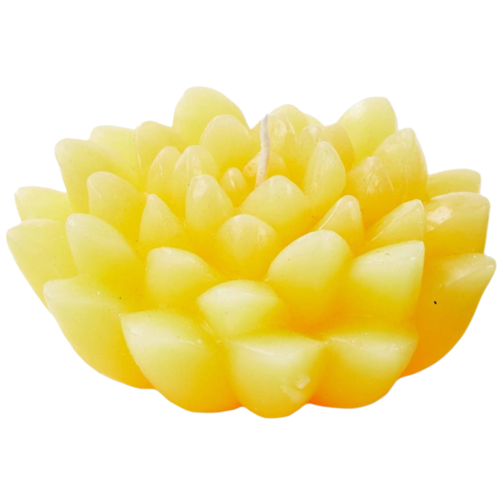 TAG Unscented Paraffin Flower Blossom Candle - 1.5" x 3"