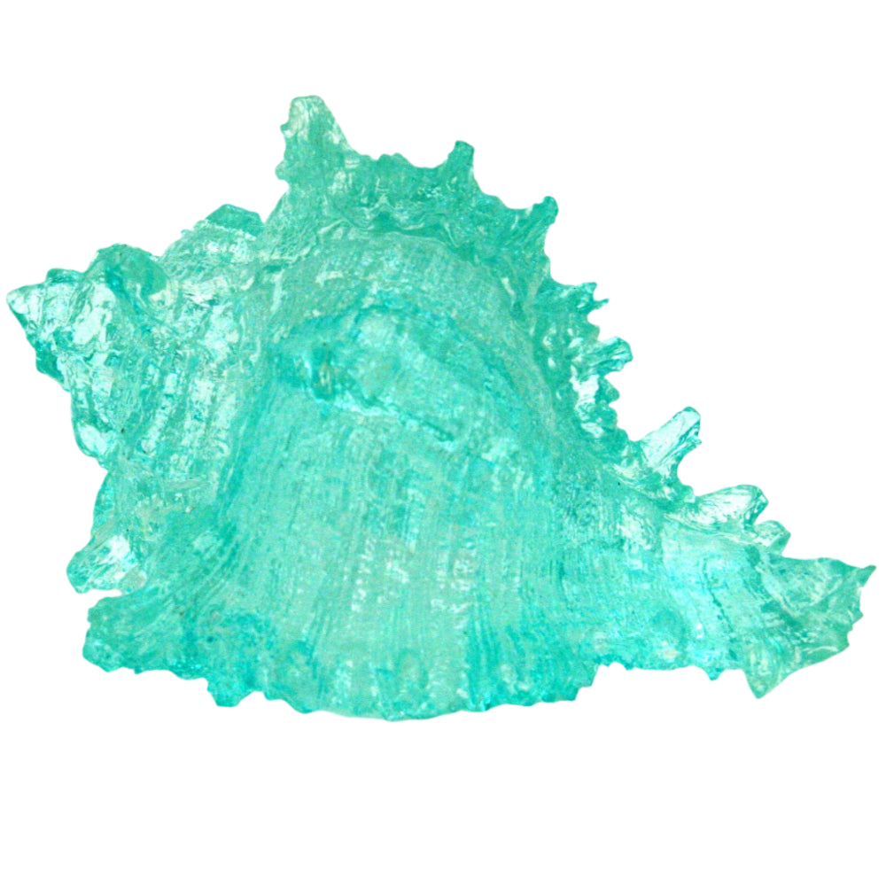 Modern Coastal Polyresin Blue Seashells - 3" x 4.75"