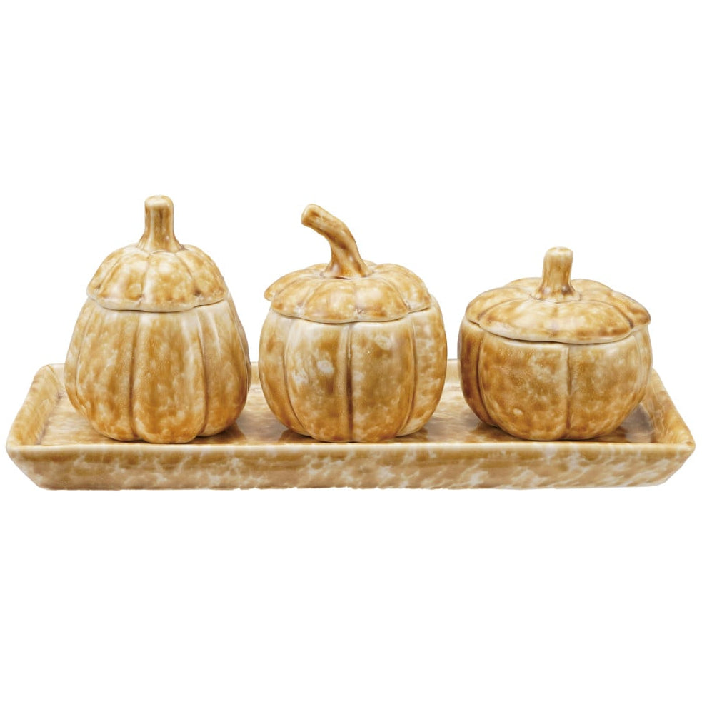 CO-OP Distressed Stoneware Pumpkin Jars w/ Tray - 4 pc.