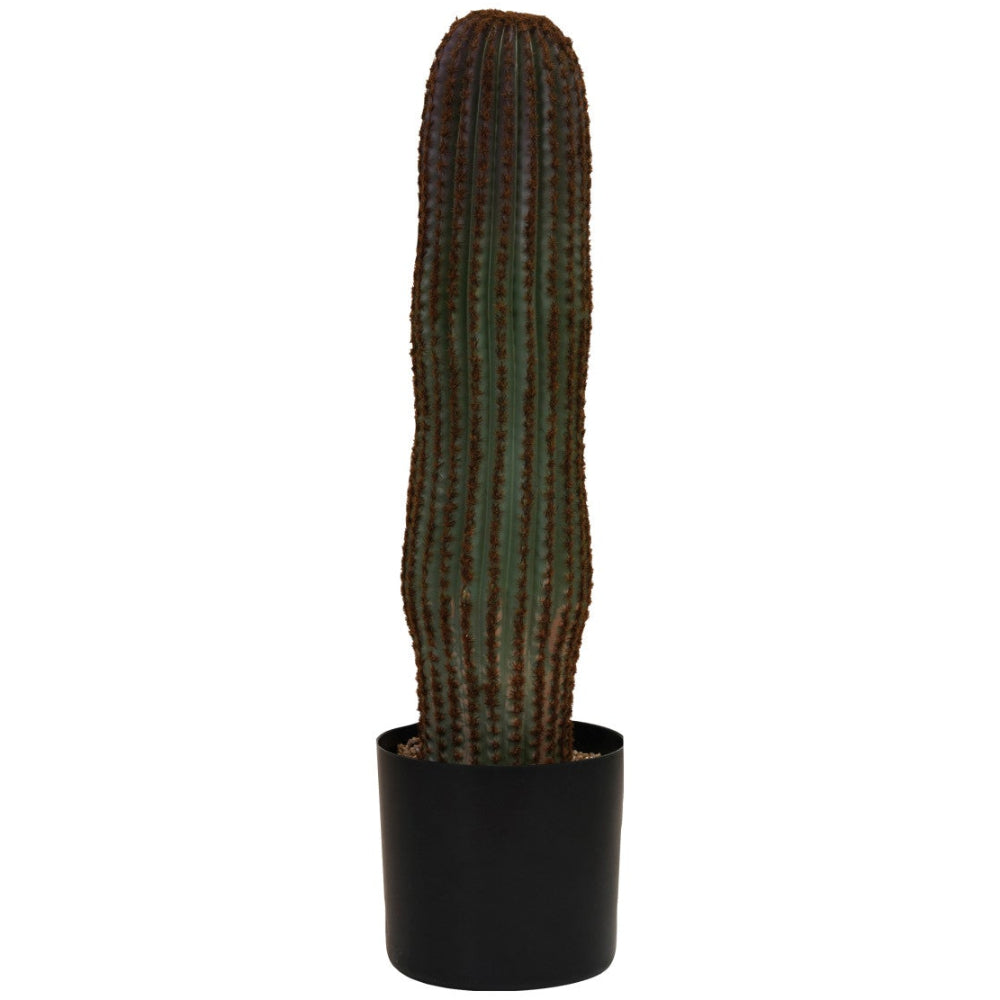 Faux Vatricania Cactus w/ Plastic Pot - 28"