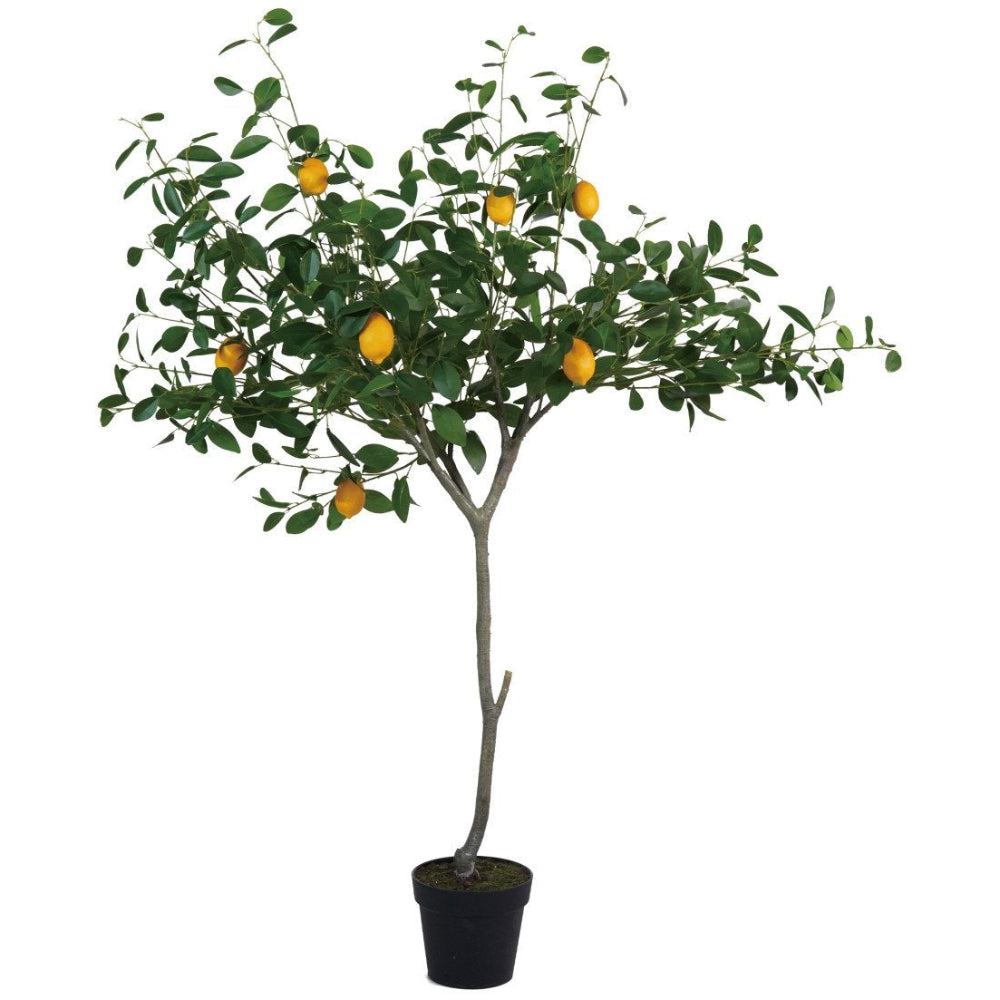 Faux Lemon Tree w/ Plastic Pot - 5'