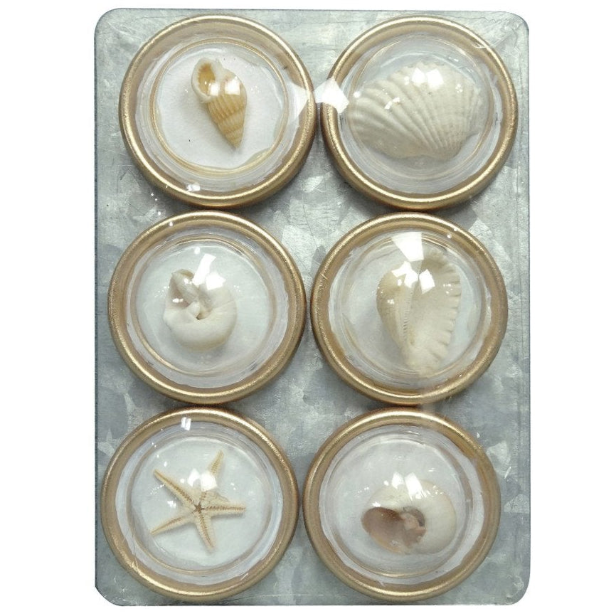 Round Resin Sea Shell Refrigerator Magnets - 6 pc.