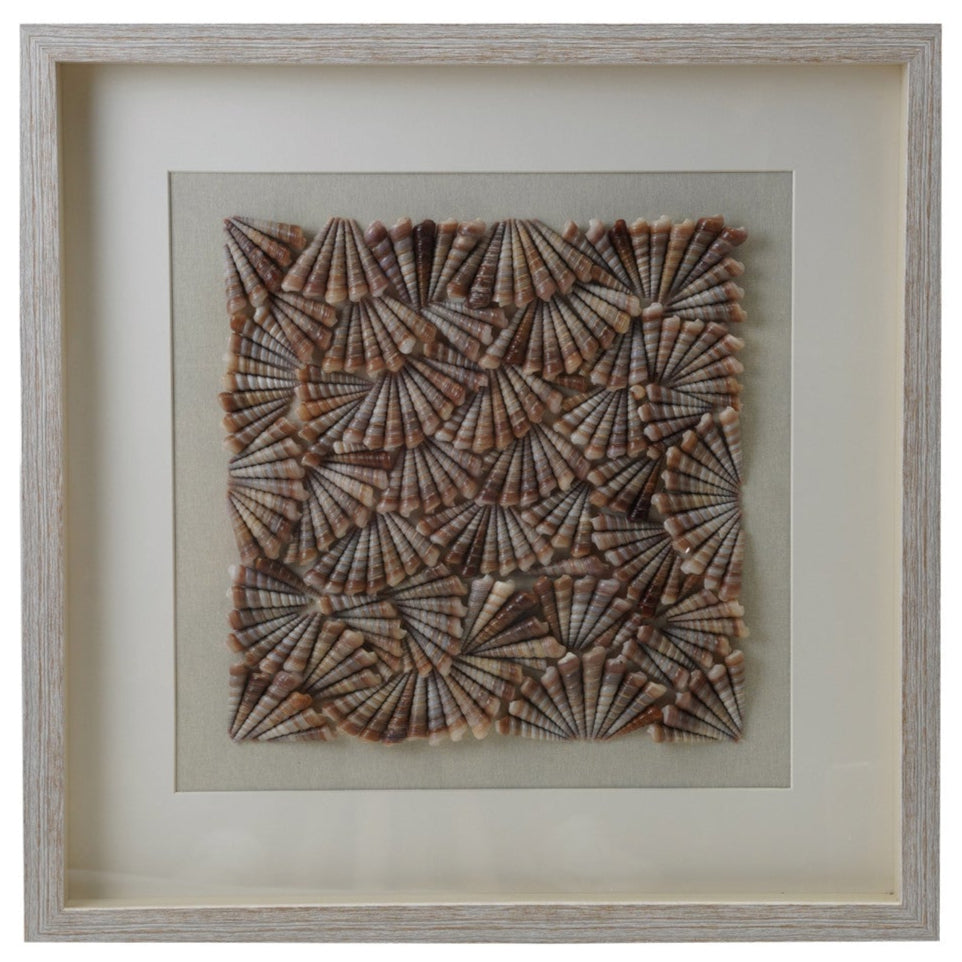 Framed Spiral Shell Shadow Box Wall Décor - 23.5" x 23.5"