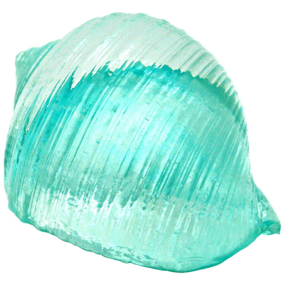 Modern Coastal Polyresin Blue Seashells - 3" x 4.75"