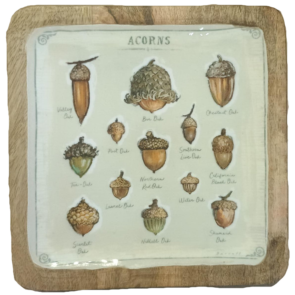 CO-OP Enameled Square Mango Wood Trays - 6" to 10"