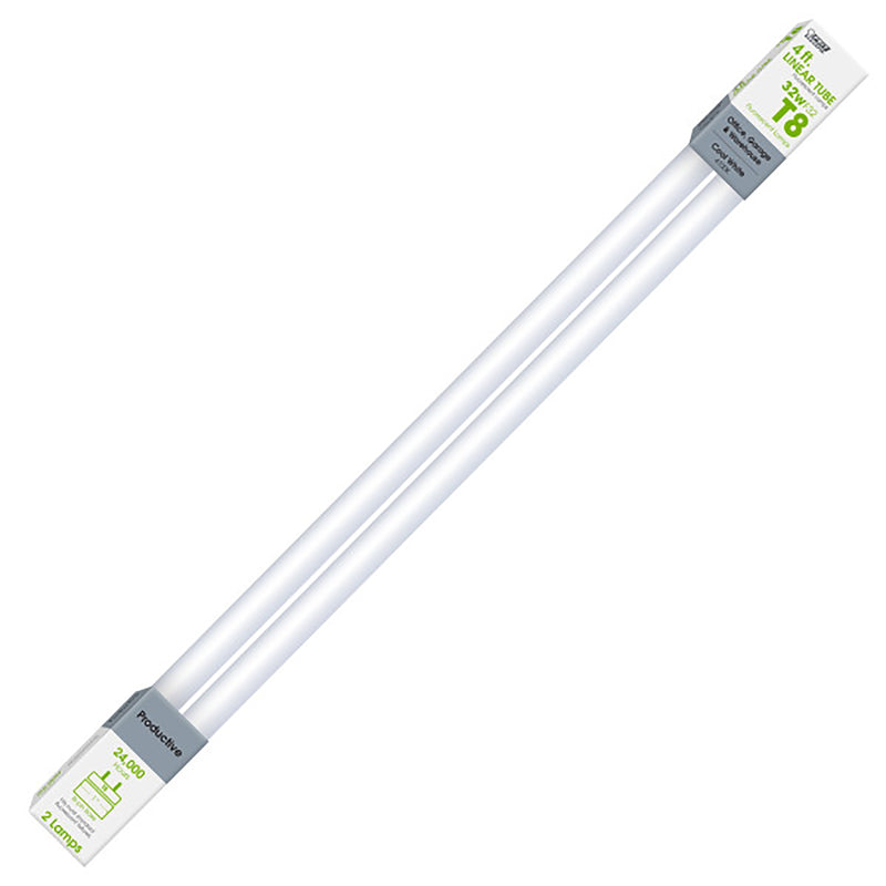 Fluorescent Bulb 32W, T8 - Cool White - 2 Pack