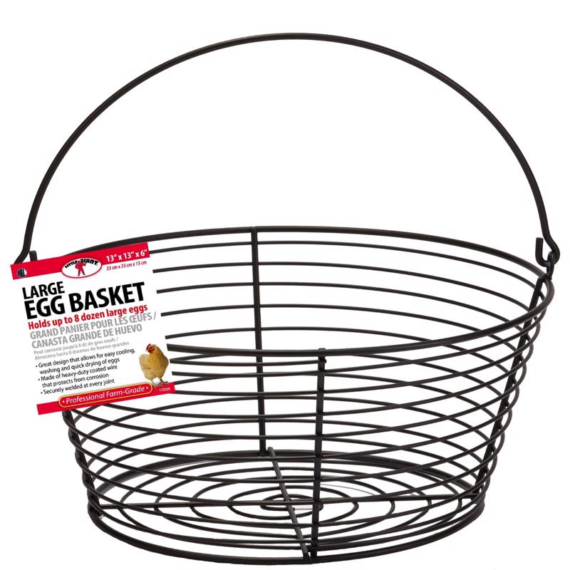 Little Giant Egg Basket