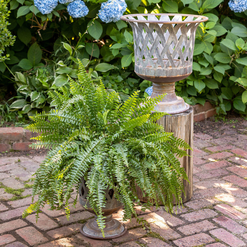 Woven Metal Classic Urn Large